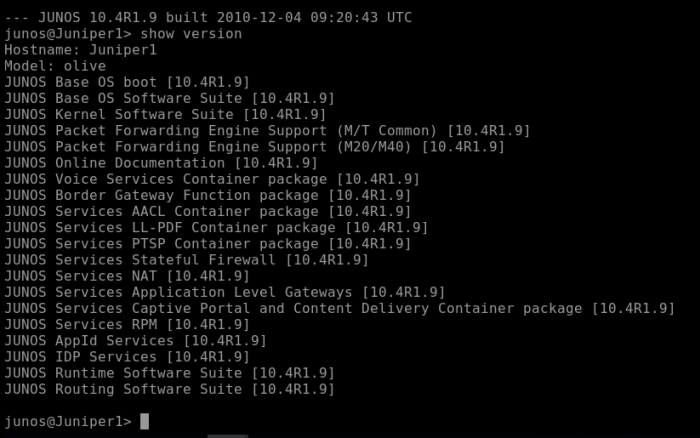 FAQ-Juniper-PAM-Record-Connection