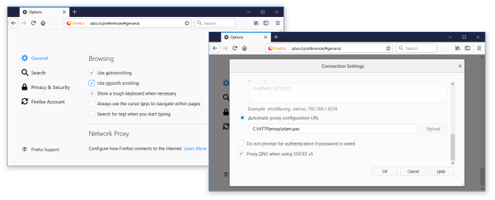 PAM-HTTP-Proxy-Firefox-Network-Proxy